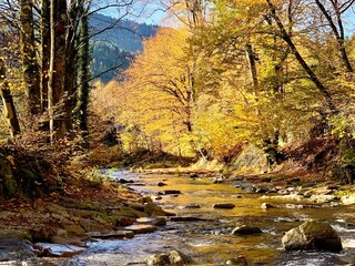 Appartamento per vacanze Bad Peterstal-Griesbach Ambiente 26