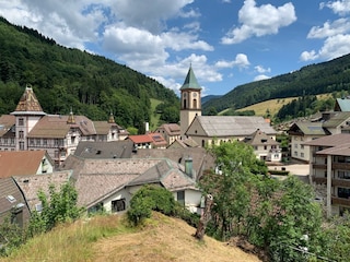 Appartement de vacances Bad Peterstal-Griesbach Environnement 29