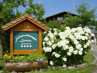 Vakantieappartement Mondsee Omgeving 5