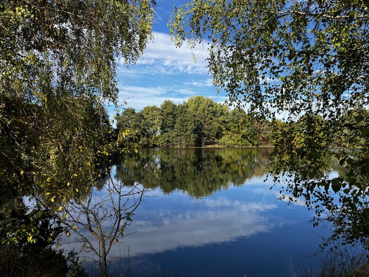 Natursee Dillich