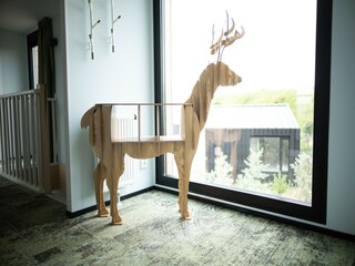 Parc de vacances Zandvoort  20