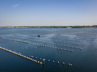 Holiday park Scharendijke Environment 16