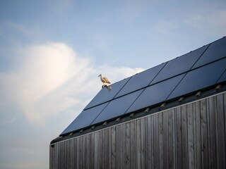 Holiday park Scharendijke  33