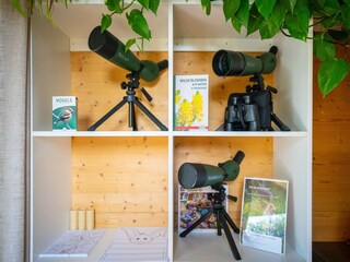 Vakantiepark Scharendijke  32