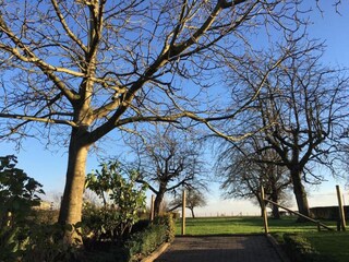 Parco vacanze Gulpen Ambiente 18