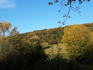 Parc de vacances Gulpen Environnement 29