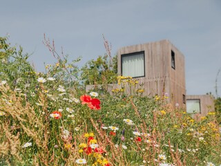 Ferienpark Gulpen Umgebung 13