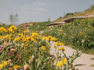 Ferienpark Gulpen Umgebung 15