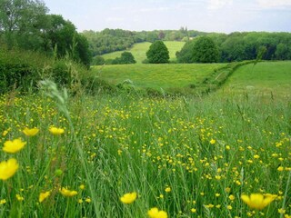 Vakantiepark Gulpen Omgeving 28