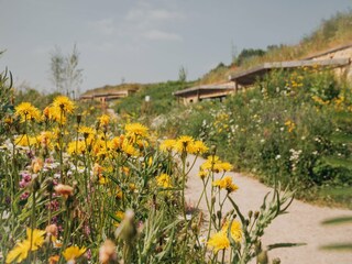 Parc de vacances Gulpen Environnement 15