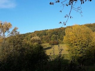 Holiday park Gulpen Environment 26