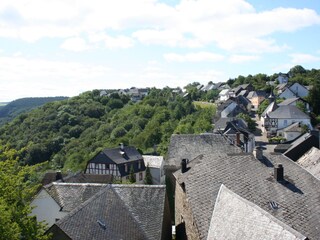 Blick auf Starkenburg