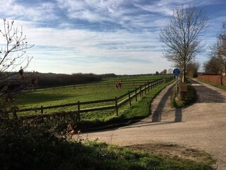 Parc de vacances Gulpen Environnement 29