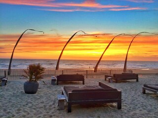 Ferienpark Zandvoort Umgebung 11