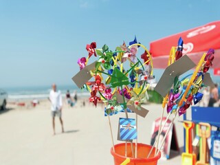 Ferienpark Zandvoort Umgebung 16