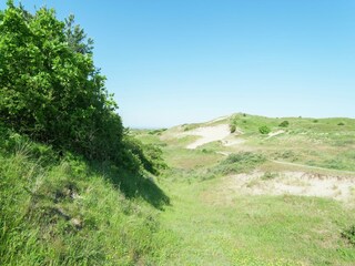 Vakantiepark Zandvoort Omgeving 19