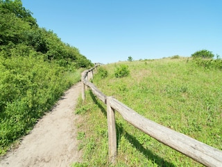 Vakantiepark Zandvoort Omgeving 25