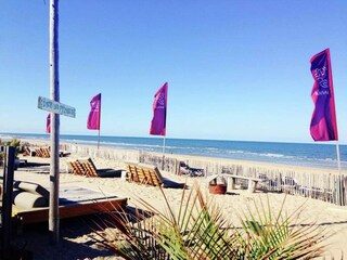 Parque de vacaciones Zandvoort Entorno 18