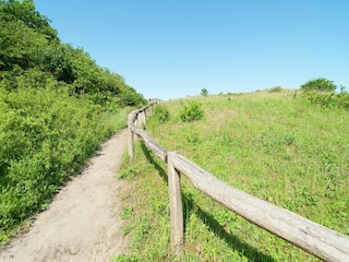 Ferienpark Zandvoort Umgebung 19