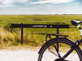 Vakantiepark Hollum Omgeving 30