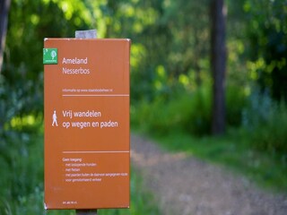 Ferienpark Hollum Umgebung 19