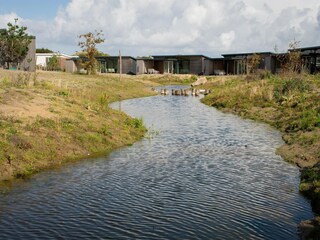 Vakantiepark Hollum Omgeving 17