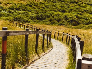 Vakantiepark Hollum Omgeving 24