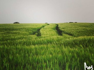 Casa per le vacanze Neufchâteau Registrazione all'aperto 3