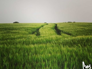 Ferienhaus Neufchâteau Außenaufnahme 3