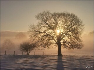 Vakantiehuis Neufchâteau Buitenaudio-opname 6