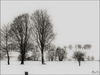 Maison de vacances Neufchâteau Enregistrement extérieur 9