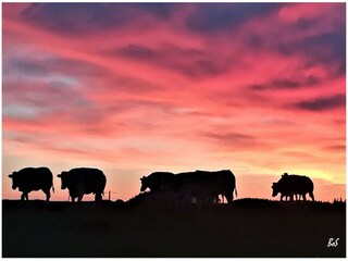 Ferienhaus Neufchâteau Umgebung 27