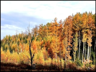 Ferienhaus Neufchâteau Umgebung 29