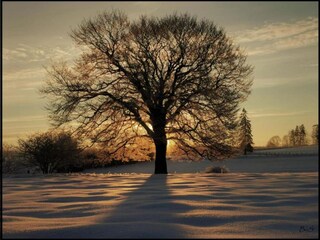 Vakantiehuis Neufchâteau Omgeving 34