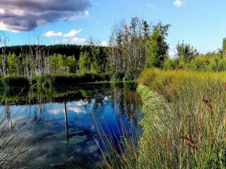 Vakantiehuis Neufchâteau Omgeving 35