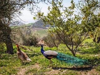 Casa per le vacanze Villanueva de la Concepción Ambiente 21