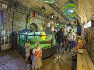 Vakantiepark Callantsoog Omgeving 21