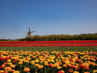 Vakantiepark Callantsoog Omgeving 23