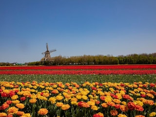 Holiday park Callantsoog Environment 22