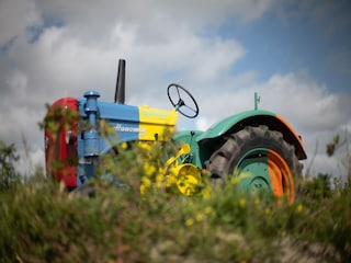 Ferienpark Callantsoog  35