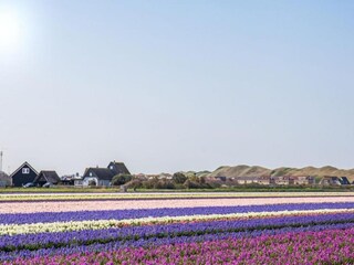 Vakantiepark Callantsoog Omgeving 12