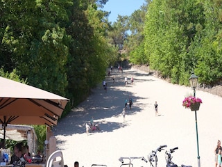 Ferienpark Callantsoog Umgebung 20