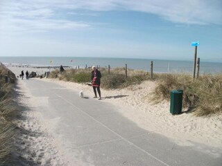 Parque de vacaciones Callantsoog Entorno 16