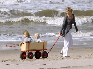 Ferienpark Zandvoort Umgebung 22