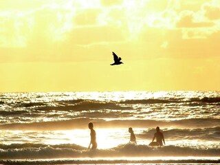 Vakantiepark Zandvoort Omgeving 14
