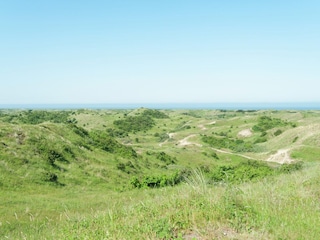 Ferienpark Zandvoort Umgebung 27