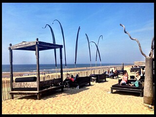 Parc de vacances Zandvoort Environnement 17