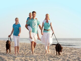 Vakantiepark Zandvoort Omgeving 24