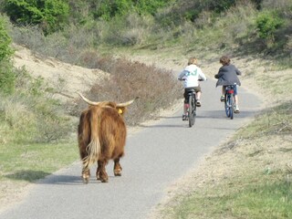 Ferienpark Zandvoort Umgebung 18