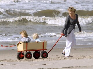 Ferienpark Zandvoort Umgebung 21